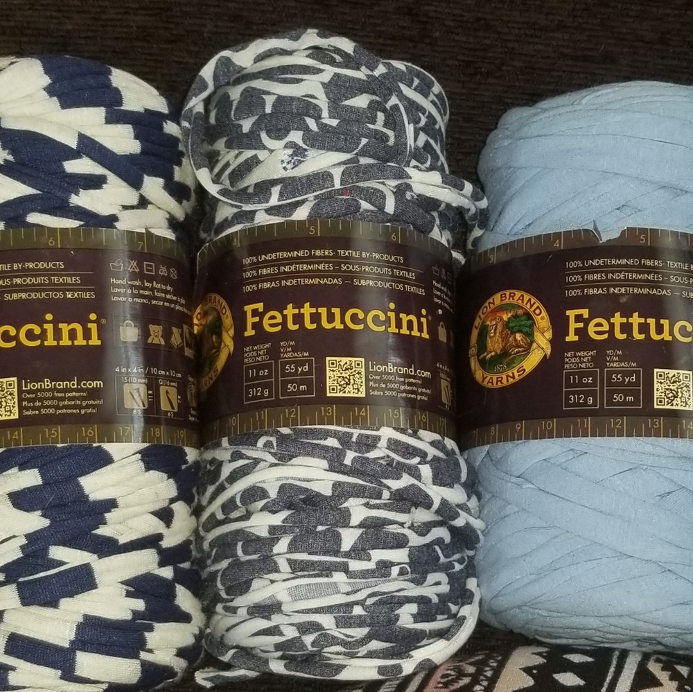 Lion Brand Fettuccine style yarn